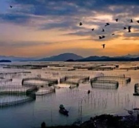 广汉伴游中国网景点丰富(旅游网介绍)