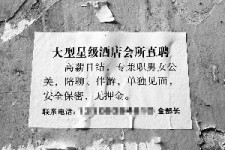广汉珠海伴游雇用网(珠海游览社雇用信息)