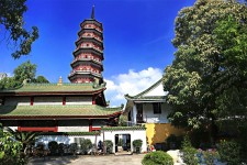 广汉广州自由行(广州 自由行)