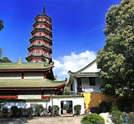 广汉广州自由行(广州 自由行)