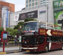 广汉上海私人伴游 上海过年怎么玩？这些“微游”线路了解下→