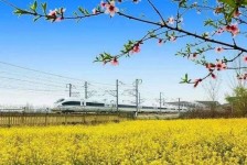 广汉高铁游(高铁游戏下载手机版)
