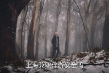 广汉上海私人伴游 上海伴游，上海兼职伴游安全吗