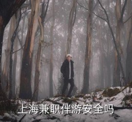 广汉上海私人伴游 上海伴游，上海兼职伴游安全吗