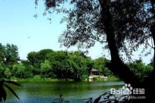 广汉西湖旅游攻略(上海到杭州西湖旅游攻略)