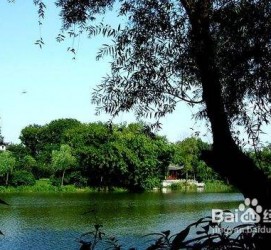 广汉西湖旅游攻略(上海到杭州西湖旅游攻略)