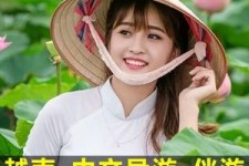 广汉日本关东伴游中国(日本关西旅行)
