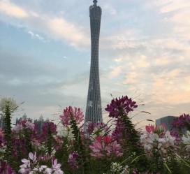 广汉广州旅游攻略(杭州到广州旅游攻略)