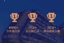 广汉上海私人伴游 ​ “小而美”的新时代：2020年国内新跟团消费报告
