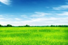 广汉上海伴游 上海模特伴游微信号的交友宣言