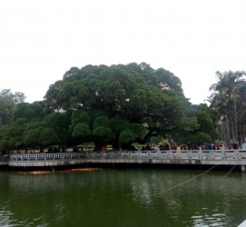 广汉福州旅游攻略(福州旅游攻略二日游)