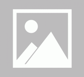 广汉私人伴游 黄金周里动“黄”经 天津又现“私人陪游”逆流
